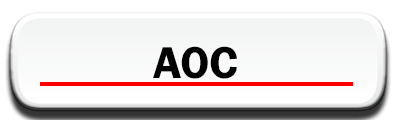  AOC